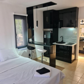 Milica Apartment Petrovac